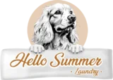 logo-hello-summer