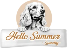 logo-hello-summer