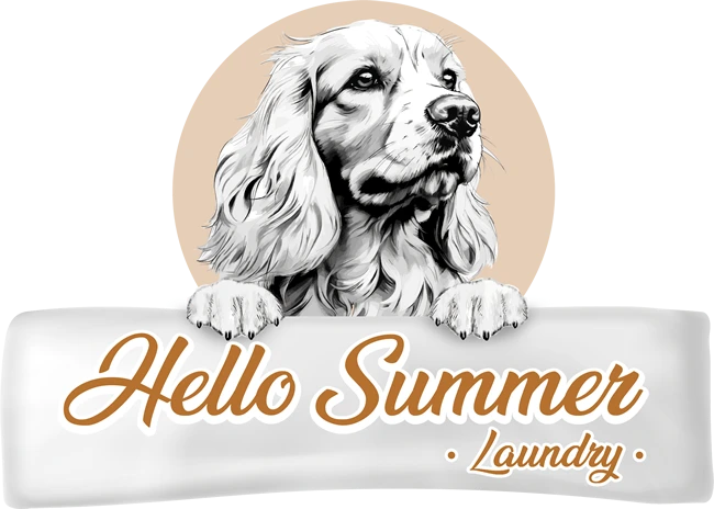 logo-hello-summer